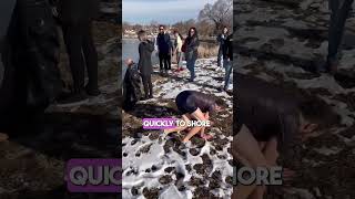 Man Saves Dog From Freezing Lake ❤️ [upl. by Rabma]