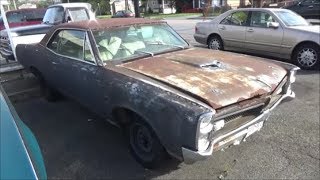 1967 PONTIAC GTO YARD FIND Classic Muscle Car LOT LIZARD DGTV CARS [upl. by Akirdnahs108]