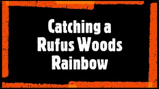 Catching a NICE Rufus Woods Triploid Rainbow 🐟 rufuswoodstriploid rufuswoods bigtrout [upl. by Lenore]