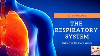 Special embryology  Respiratory system [upl. by Anha]