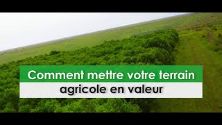 Comment mettre votre terrain agricole en valeur [upl. by Dawaj]