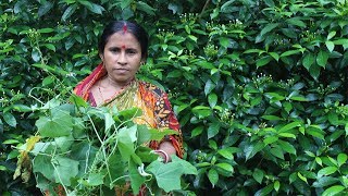 Village Food  Cooking Simple Tela Kachu Shak Kacha Lanka Diye Bengali Food Recipe by my Mother [upl. by Nnod412]