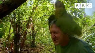 Shagged by a rare parrot  Last Chance To See  BBC [upl. by Enilrad]