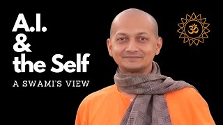 Esoteric Insights from an Amazing Swami on AI amp Advaita Vedanta [upl. by Naujed665]