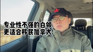 专业性不强的白领更适合移民加拿大 [upl. by Patin491]