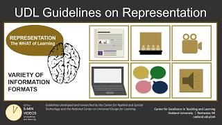 Universal Design for Learning Part 4 Representation Strategies [upl. by Llennaj656]