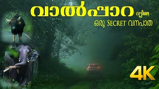 Secret Forest Road in Athirapally to Valparai route 4K [upl. by Akemit751]