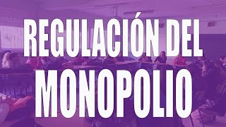 Regulacion del monopolio [upl. by Eelik959]