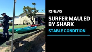 Man suffers serious leg injury in a shark attack at Port Macquarie in northern NSW  ABC News [upl. by Zingale27]