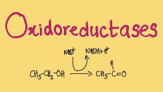 What is an Oxidoreductase  MCAT Biochemistry [upl. by Hedwiga]