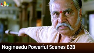 Nagineedu Best Scenes Back to Back  Mirchi  Prabhas  Telugu Movie Scenes SriBalajiMovies [upl. by Ddet]