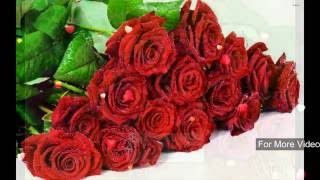 Good Morning Flowers For YouGood Morning WishesGreetingsSmsSayingsQuotesEcardWhatsapp video [upl. by Silloh]