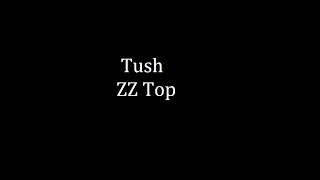 Tush  ZZ Top Lyrics [upl. by Einnaj820]