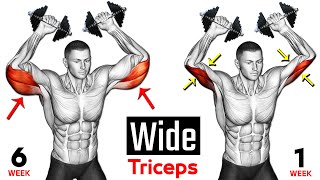 Tricep Workout with Dumbbells  10 Effective Exercise [upl. by Nutsud742]