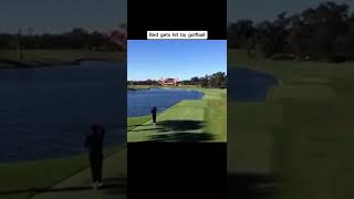 Golfer hits bird on drive golf pga golftournament tiktok funny [upl. by Godfree876]