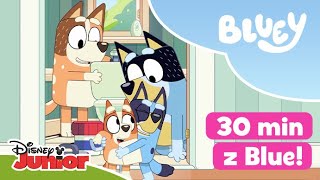 💙 30 MINUT z Blue i jej rodzinką  Blue  Disney Junior Polska [upl. by Anoval]