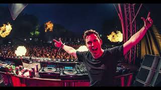 HARDWELL MIX 2024  Best Songs Of All Time [upl. by Guglielmo77]