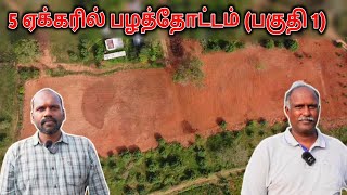 5 ஏக்கரில் பழத்தோட்டம்  உணவு காடு  Nannilam Eco Village  Food Forest  Permaculture [upl. by Adnirod]