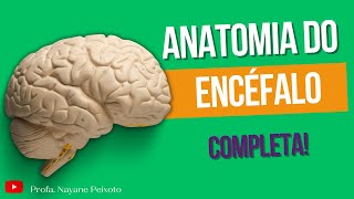 Anatomia do Encéfalo  estruturas e funções [upl. by Hedgcock]