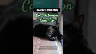 Darkness the Cat explains Correlation vs Causation catshorts statisfying facts blackcats [upl. by Mirabella]