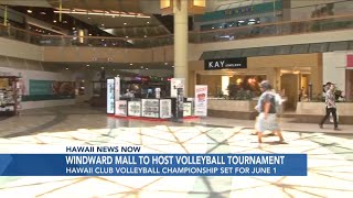 Hawaii Club Volleyball Championship Preview on Hawaii News Now [upl. by Nylkaj]