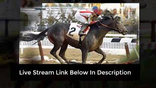 WATCHFREE Preakness Stakes Game 2018 Live Stream ON TV [upl. by Gaulin]