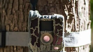 Product Review Stealth Cam Reactor [upl. by Ahsiaa]