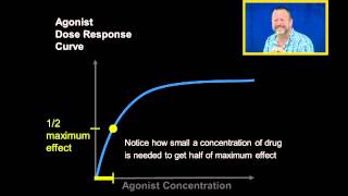 Agonist Dose Response Curves [upl. by Boigie]