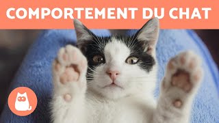 Comportement du chat  Les clés pour les comprendre [upl. by Cyrie487]