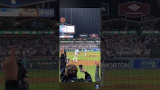 Freddie Freeman walk off [upl. by Buskirk94]