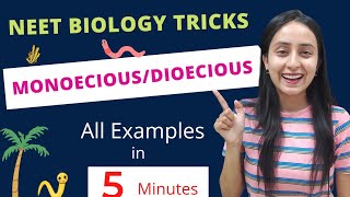 Easiest Trick to Learn Monoecious Hermaphrodites  All NCERT Examples  NEET BIOLOGY [upl. by Gerdeen]