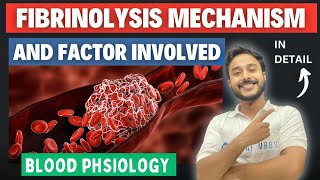 Fibrinolysis physiology  Thrombolysis physiology  Thrombolytic system  physiology [upl. by Niwdla257]