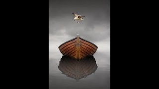 The Lonesome Boatman by Finbar Furey [upl. by Eceeryt]