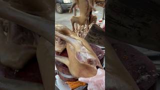 dog meat street food p90 food specialfood [upl. by Garlen]