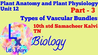 Types of Vascular Bundles Plant Anatomy and Plant physiology Samacheer Kalvi TN 10th std Biology [upl. by Lehcem339]