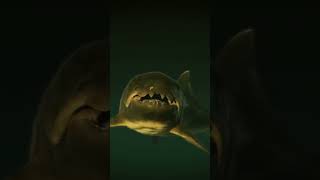 Dunkleosteus ¡el increíble tiburón acorazado prehistórico historia animales [upl. by Richart720]