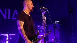 Saint Asonia  Never Too Late Live in Indianapolis [upl. by Nonohcle]