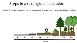 ECOLOGICAL SUCCESSION  PIONEER SPECIES  CLIMAX COMMUNITY HYDROSERE [upl. by Maison]