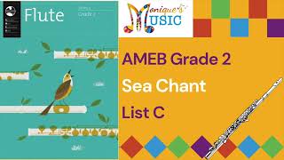 AMEB  Gr2  Flute Sea Chant  Demo [upl. by Kahaleel]