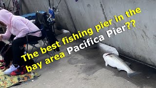 Best Fishing Pier in the Bay Area Pacifica Pier [upl. by Biddle528]