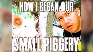 How I started a small piggery in Dumaguete [upl. by Nesnaj]