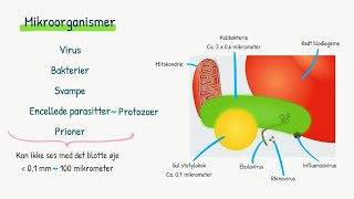 Introduktion til microbiologi [upl. by Euqinu]