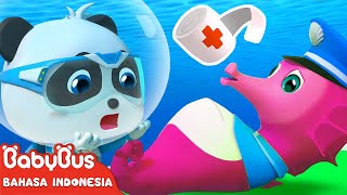 Bayi Panda Ajaib Membantu Kuda Laut Melahirkan Anak  Kartun Anakanak  BabyBus Bahasa Indonesia [upl. by Horlacher]