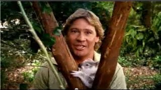 Steve Irwin Customs Quarantine TV ad 2002 Australia [upl. by Emilio]