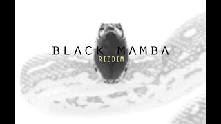 02 Fantan MojahGyal demBlack Mamba RiddimCobrastudio 2015 [upl. by Thad]