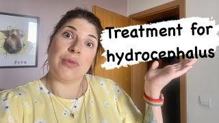 Hydrocephalus Treatment  What Are The Options [upl. by Annoyed]