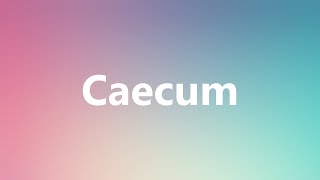 Caecum  Medical Meaning and Pronunciation [upl. by Fabiano]