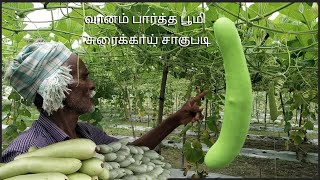 சுரைக்காய் சாகுபடி தொழிற்நுட்பம் [upl. by Aciret]