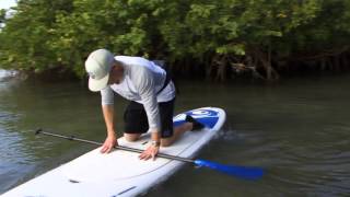 Stand Up Paddling  Getting Started [upl. by Dhu864]