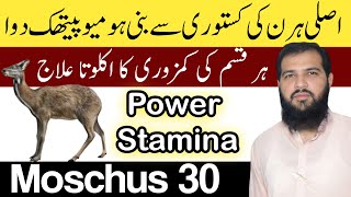 Moschus homeopathic medicine in hindi  Kasturi ke fayde  Moschus 200  Moschus 30 [upl. by Llirrem]